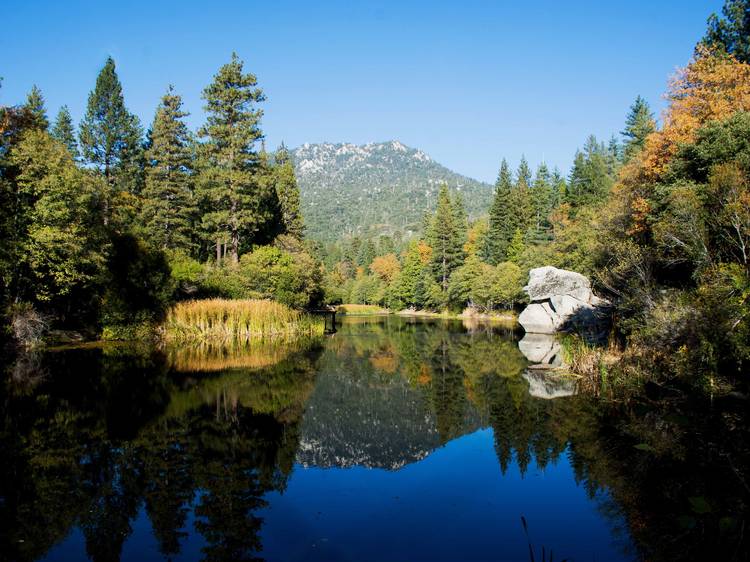 Go Camping Near Los Angeles