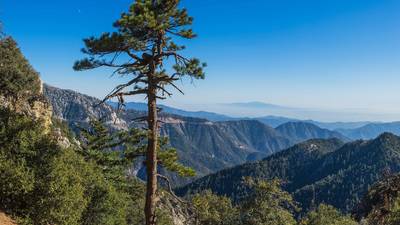 Angeles National Forest Angeles National Forest