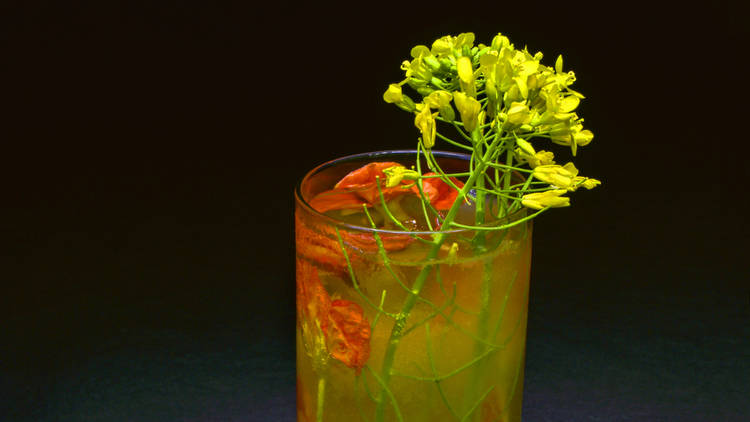 Akasha cocktail