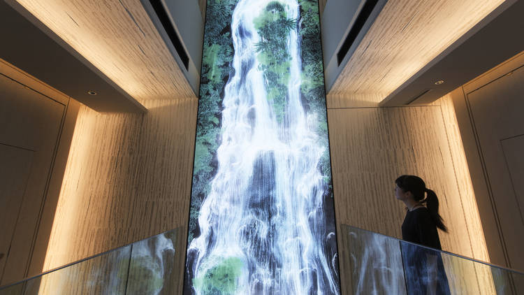 Universe of Water Particles on the Living Wall