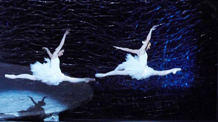 Graeme Murphy’s Swan Lake 2008