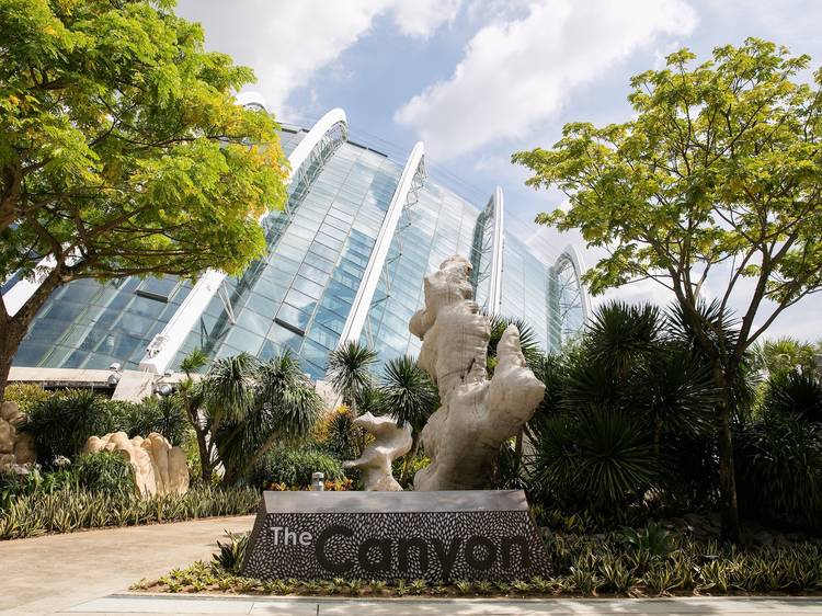 The Canyon at Gardens by the Bay