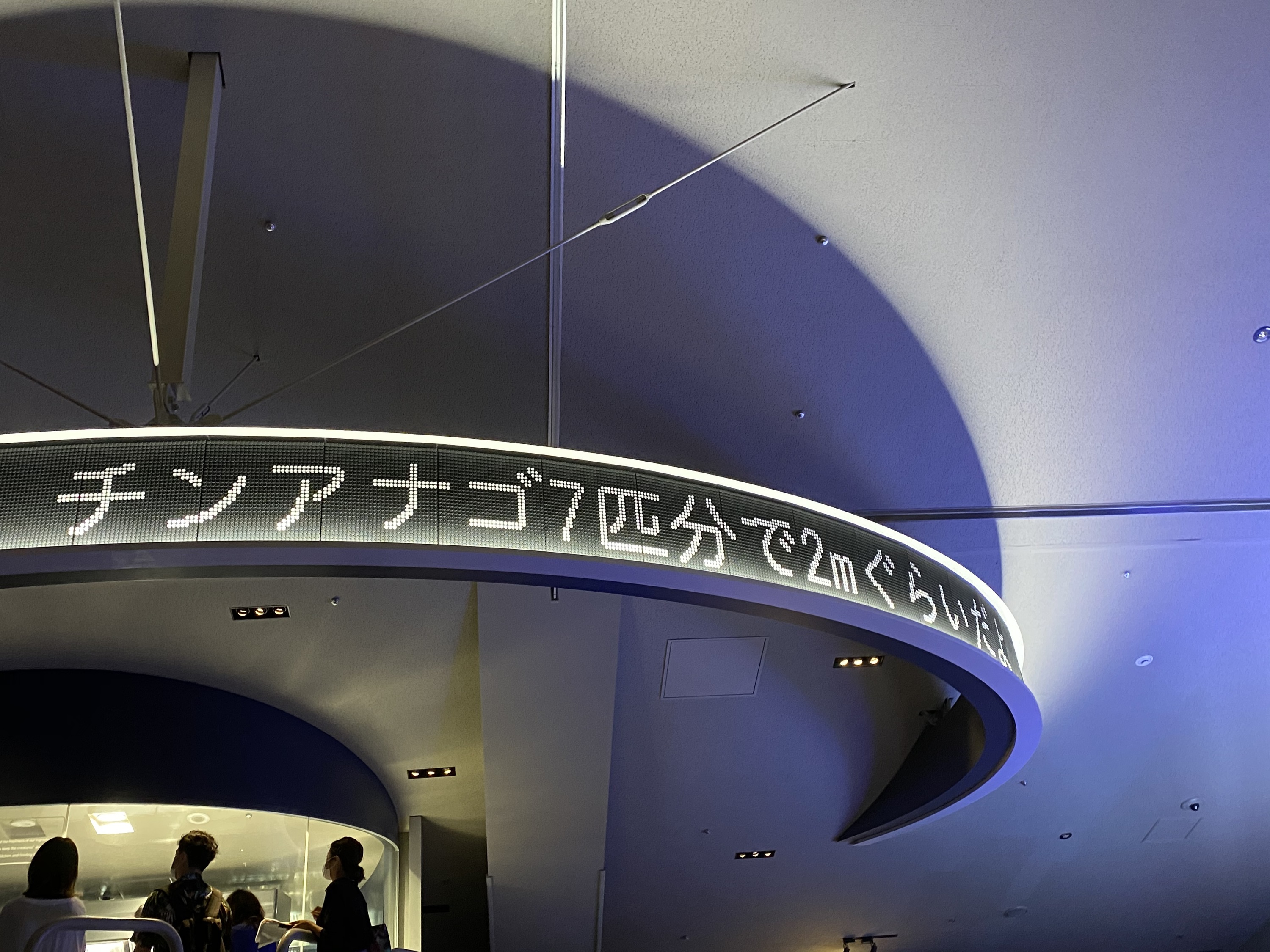大型リングサイネージ (Photo:Aya Hasegawa)