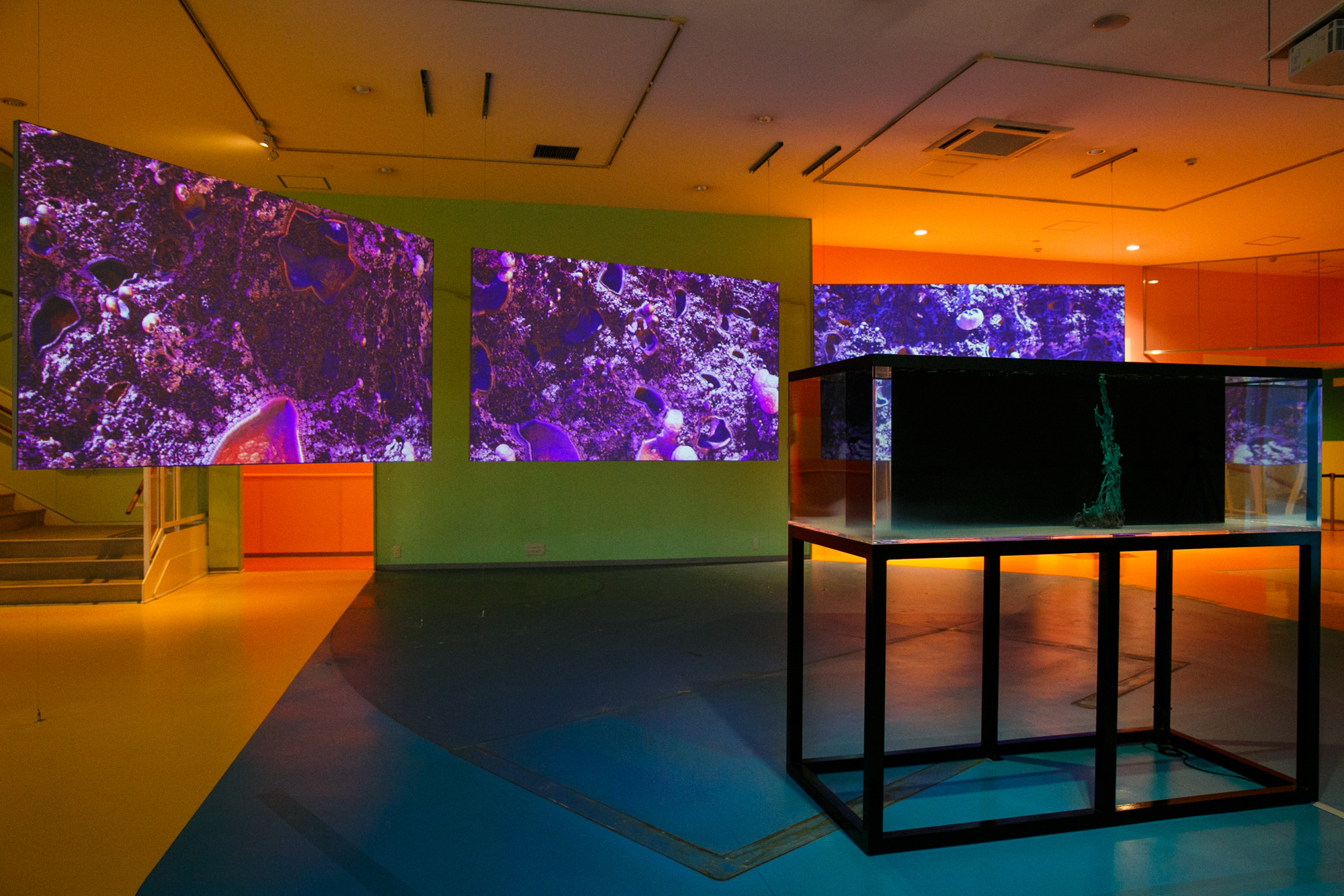 Yokohama Triennale