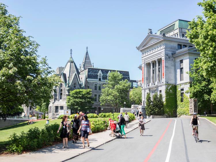 McGill University