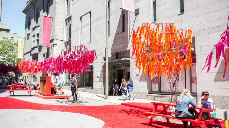 McCord Museum’s Urban Forest