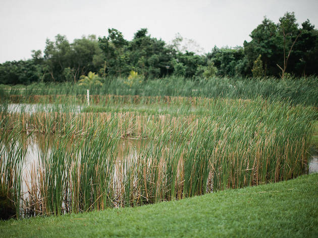 Sengkang Riverside Park