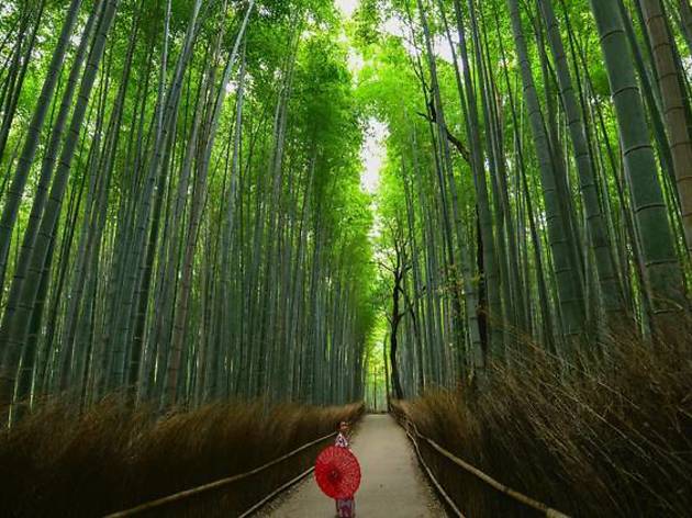 Photo: Walter Mario Stein/Unsplash