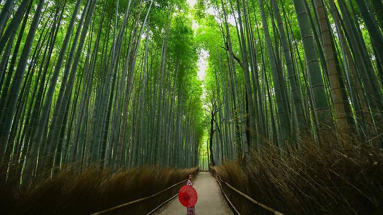 「Go To トラベル」とは何か