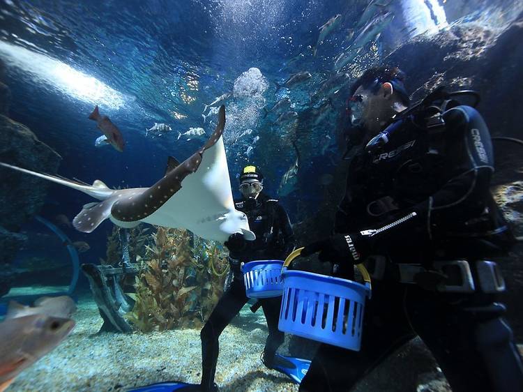 SEA LIFE Bangkok Ocean World