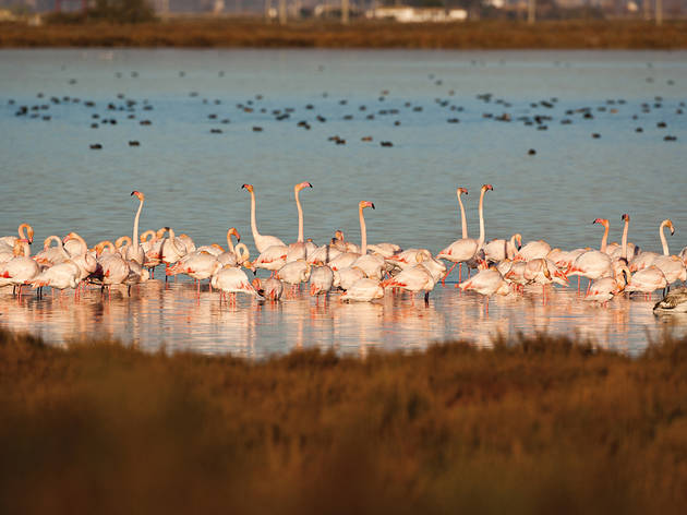 MónNatura Delta
