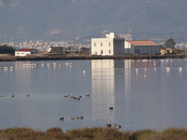 MónNatura Delta