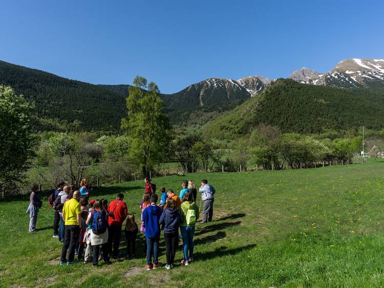 Estancias de Verano