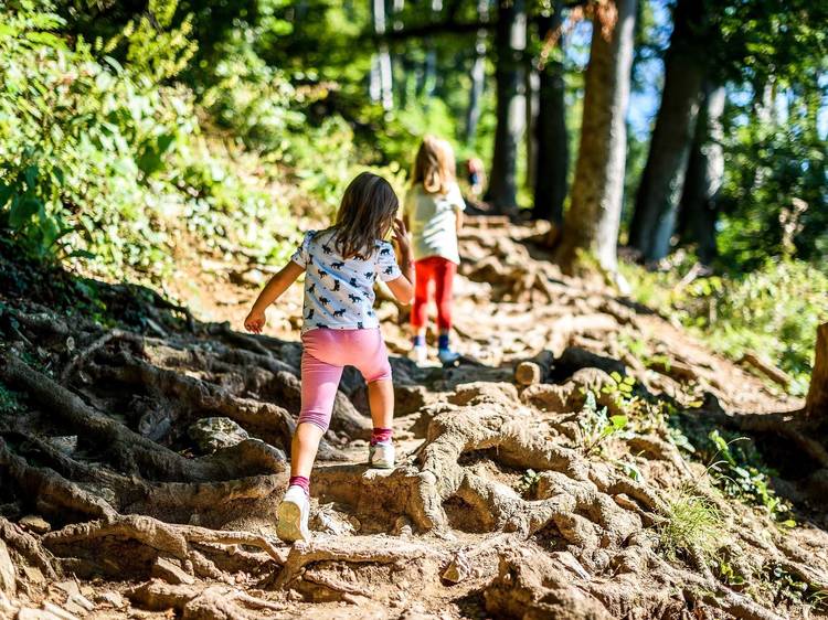 Go hiking with the kids