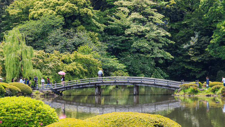 Shinkuku Gyoen Japanese garden