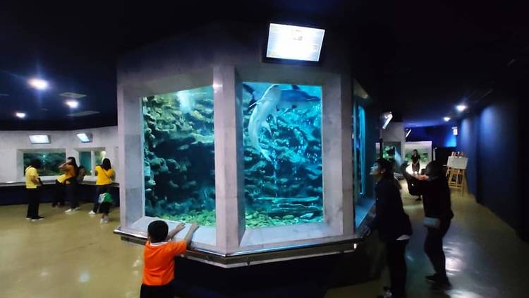 Bangkok Aquarium