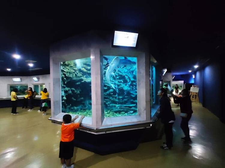 Bangkok Aquarium