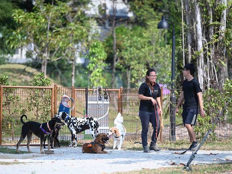 Jurong Lake Gardens Dog Run