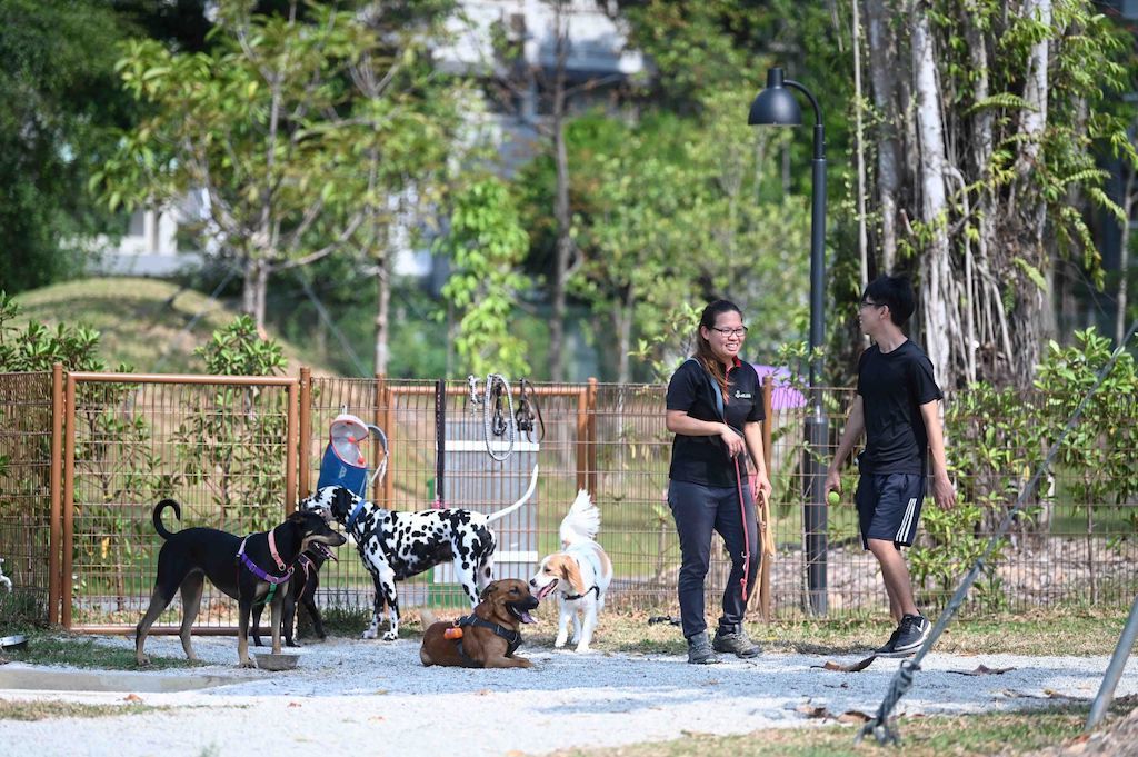 katong park dog run