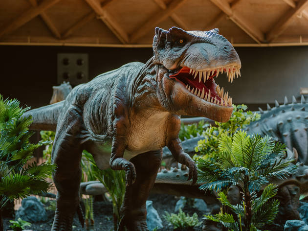 Tiranosaure Rex a Dinoland Arenas Tiranosaure Rex a Dinoland Arenas