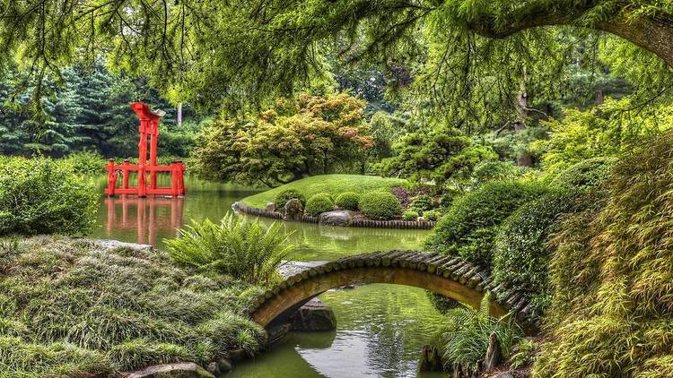 The Brooklyn Botanic Garden is officially reopening with limited capacity