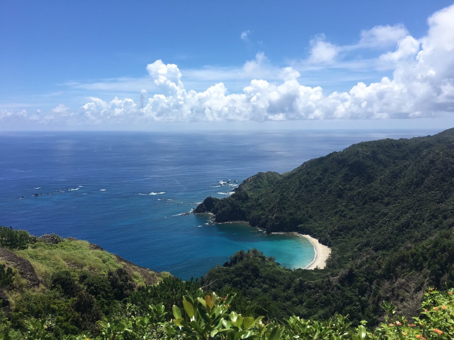 7月から受け入れ開始 小笠原諸島への旅行の注意点