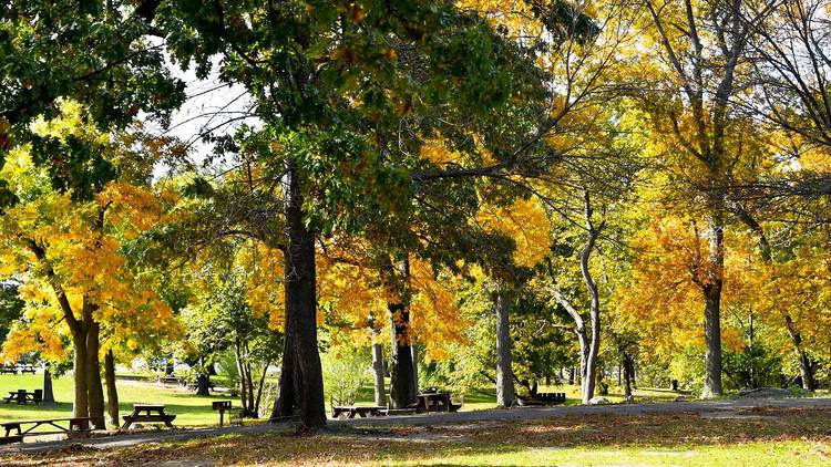 Pelham Bay Park