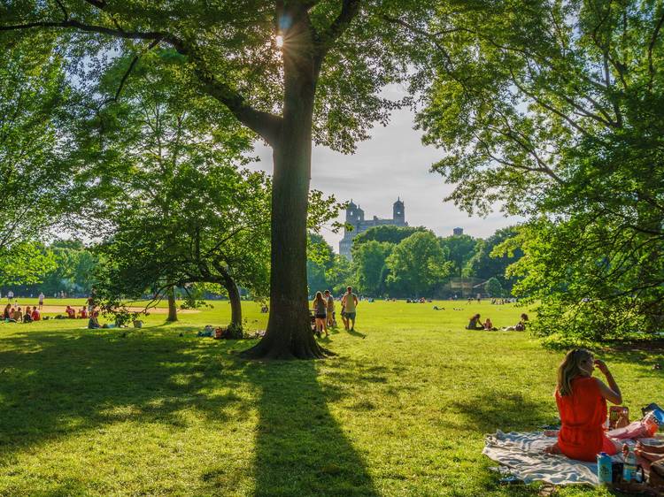 Six scenic New York parks to host a summer picnic
