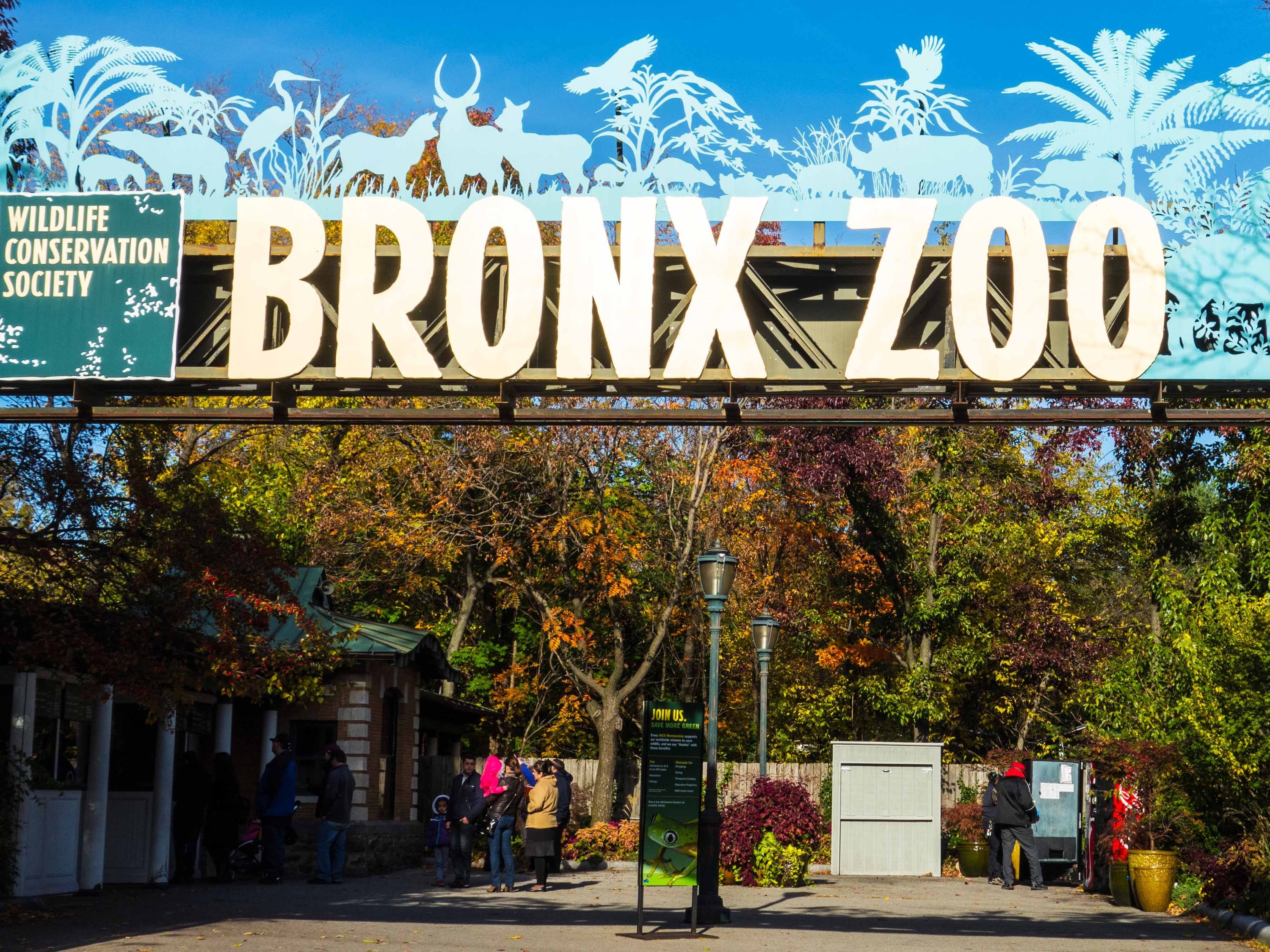 Μεσολαβητής Σχηματισμός χειροτερεύουν bronx zoo discount tickets