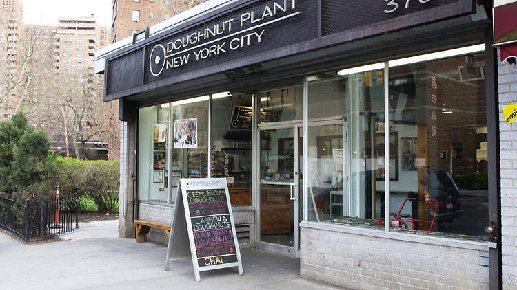 Doughnut Plant