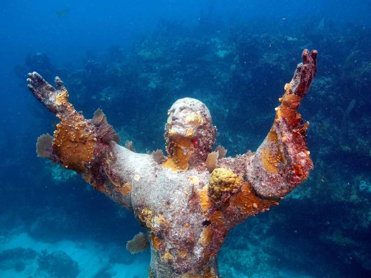 John Pennekamp Coral Reef State Park