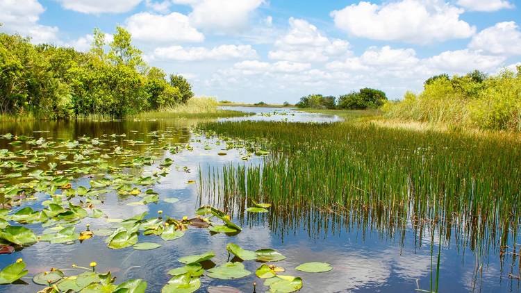 Everglades National Park