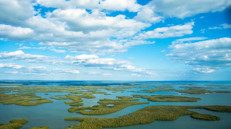 Ten Thousand Islands