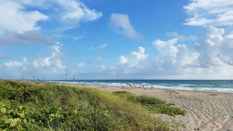 Nathaniel P. Reed Hobe Sound National Wildlife Refuge