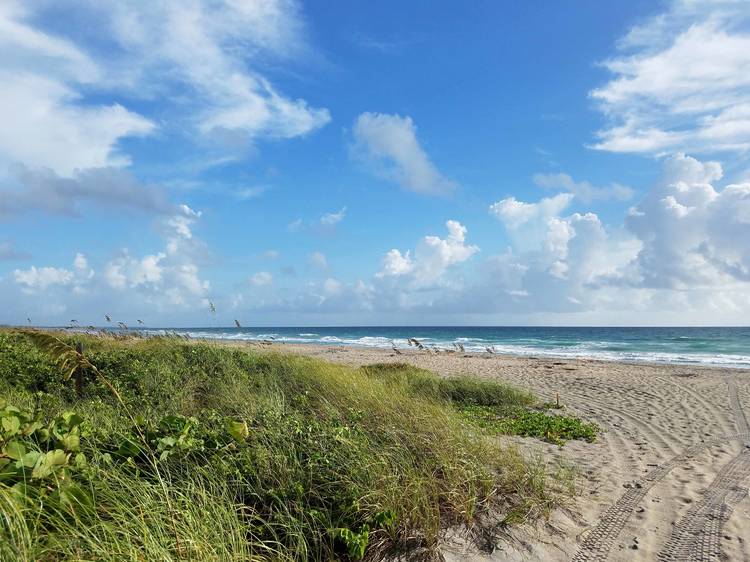 Nathaniel P. Reed Hobe Sound National Wildlife Refuge