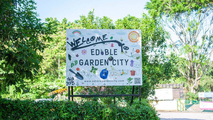 Edible Garden City