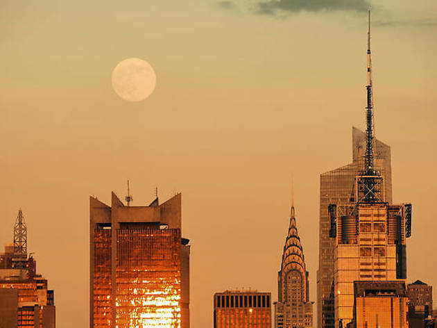 © Shutterstock