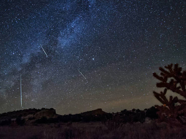 Les 21 et 22 octobre : une pluie de météorites orionides