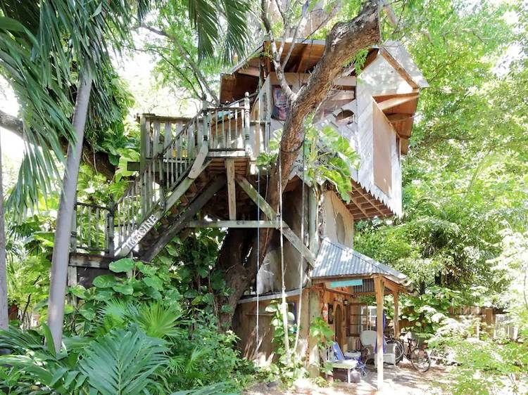 The treehouse in Little Haiti