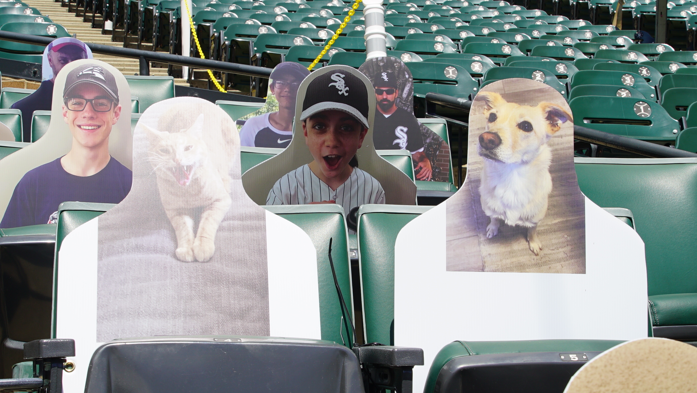 Cardboard cutouts will stand in for fans at Chicago White Sox games