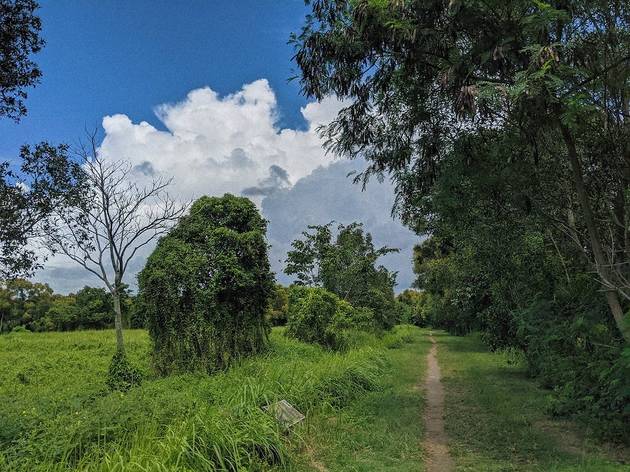 The best natural landmarks in Singapore The best natural landmarks in Singapore