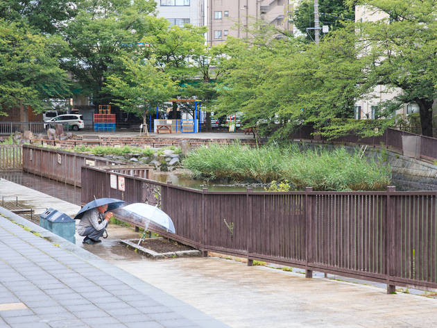 写真:大石慶子