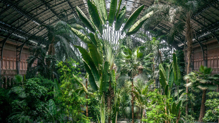 Un jardín tropical dentro de una estación Un jardín tropical dentro de una estación