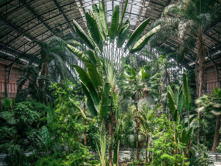 Un jardín tropical dentro de una estación Un jardín tropical dentro de una estación