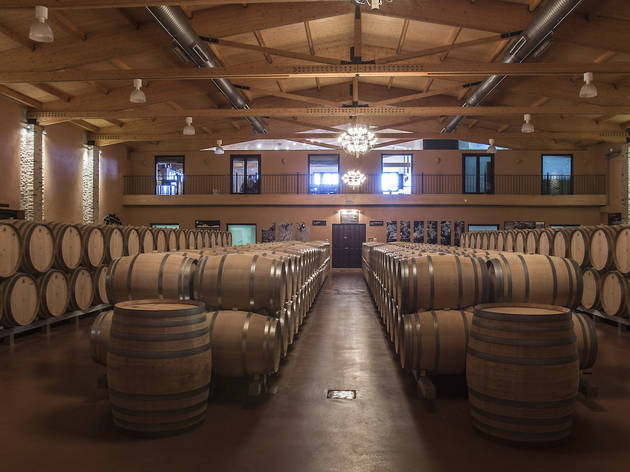 Bodega Cepa 21 Bodega Cepa 21
