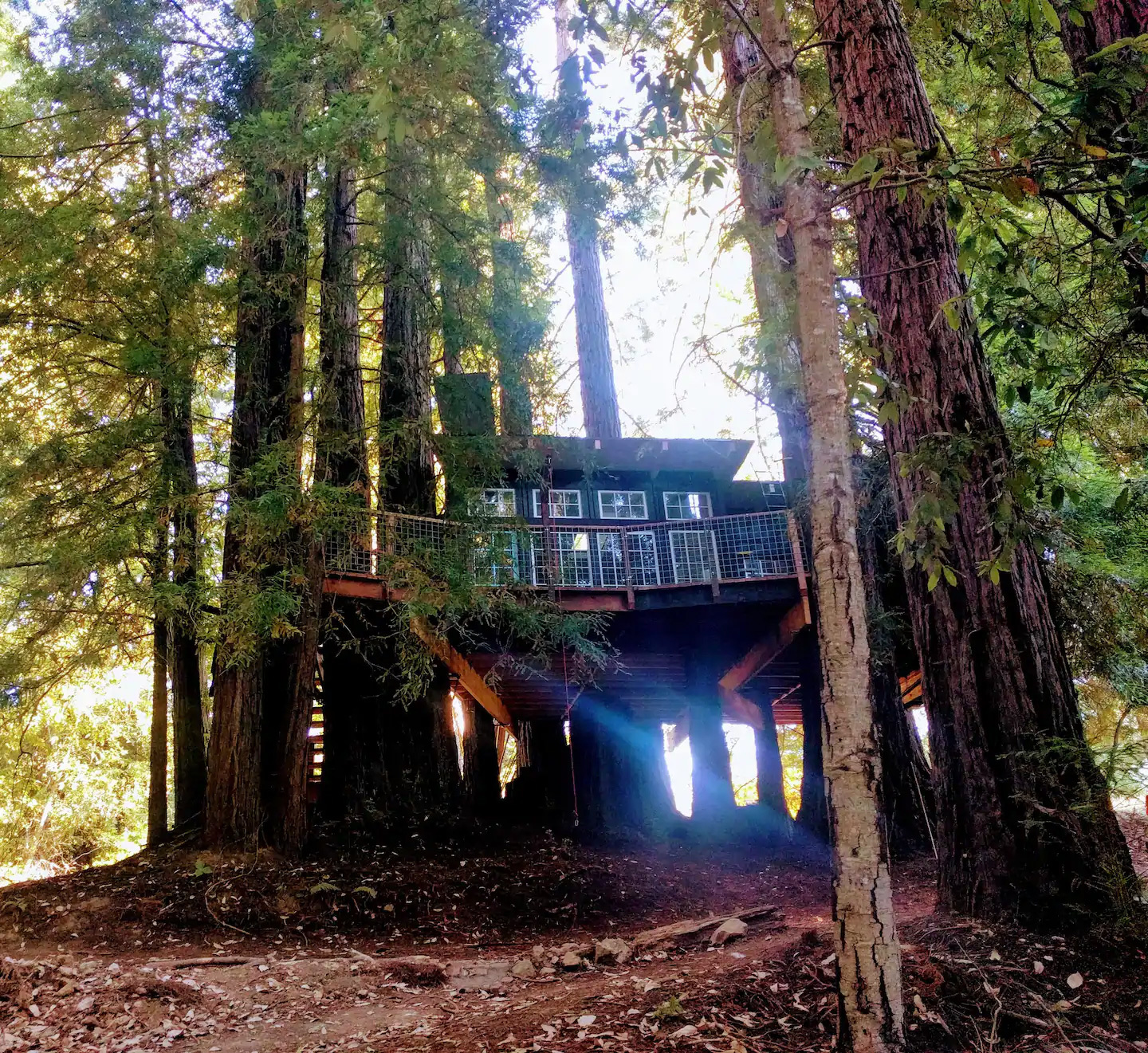 8 Most Amazing Treehouse Rentals Worth Driving to From L.A.
