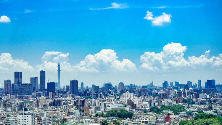 Tokyo skyline