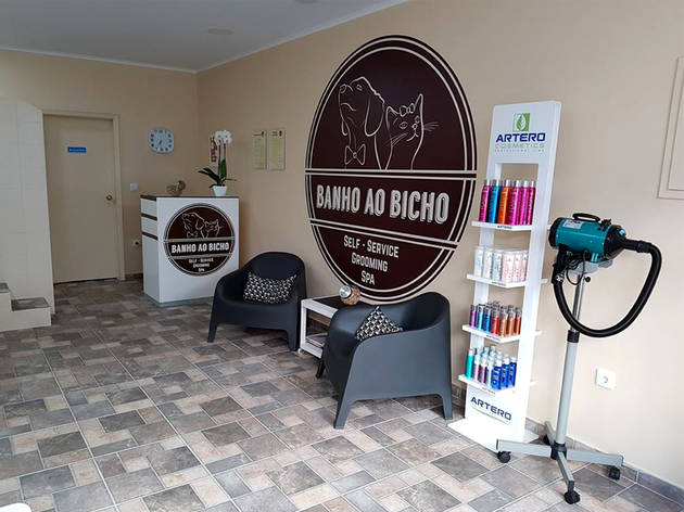 Banho ao Bicho Animais de Estimação, Tosquia, Banho, Grooming, Banho ao Bicho