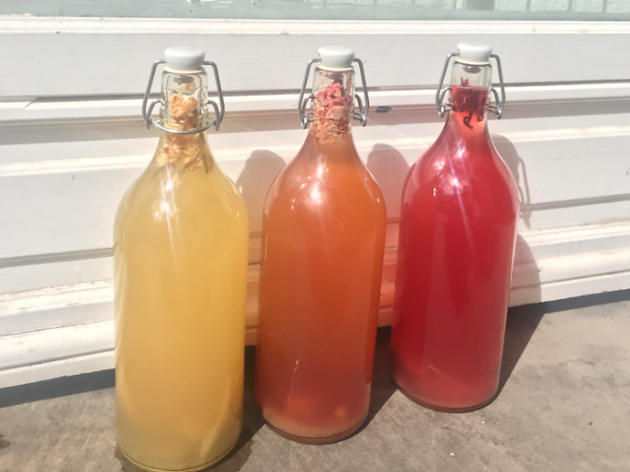 Fiz Kombucha Fiz Kombucha