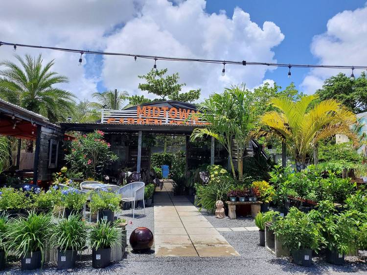 Where to buy plants in Miami, an actual tropical paradise of greenery